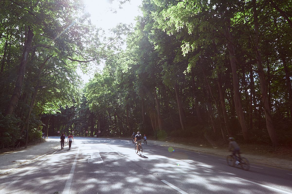 Bois de la Cambre: la Région met fin aux blocs de béton illégaux